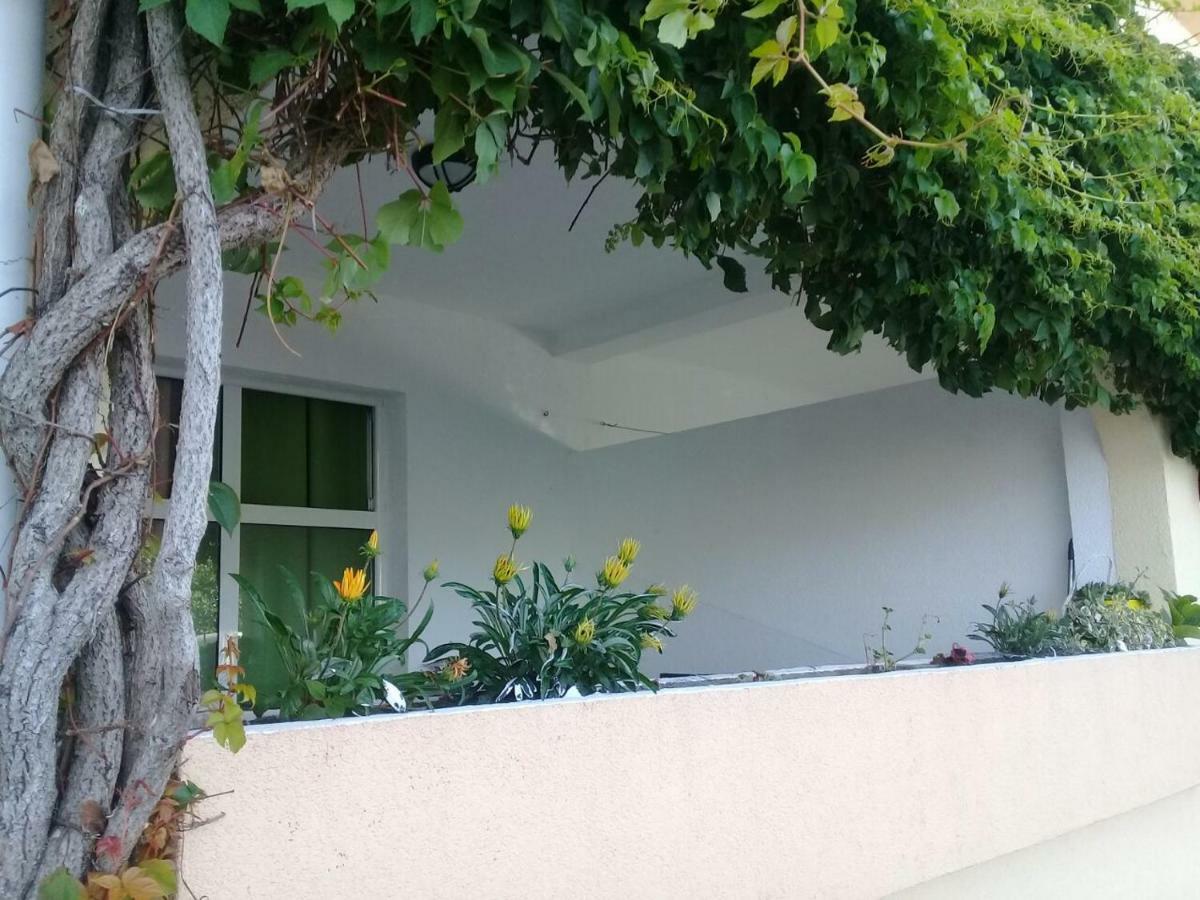 Montenegrina Apartment Budva Dış mekan fotoğraf